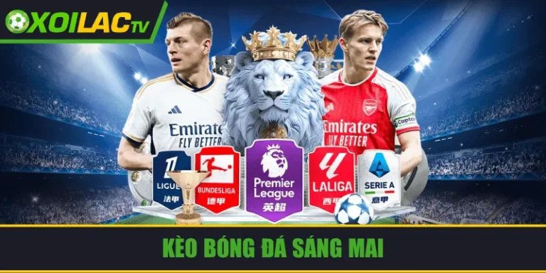 Nhận định bóng đá chính xác cao