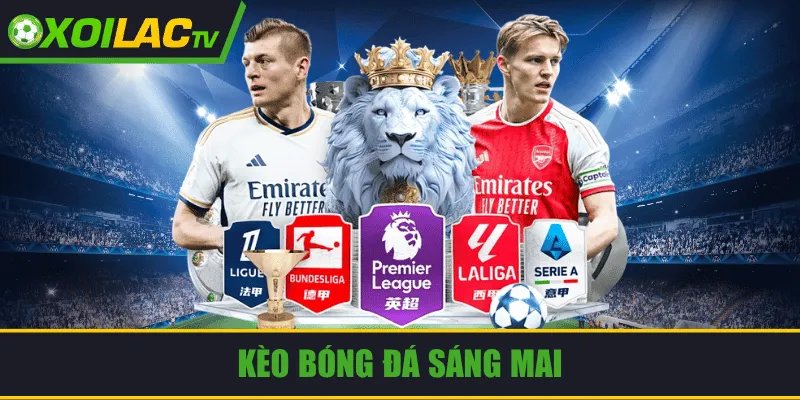 Nhận định bóng đá chính xác cao